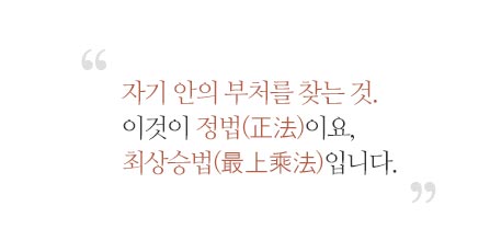자기 안의 부처를 찾는 것. 이것이 정법(正法)이요, 최상승법(最上乘法)입니다.